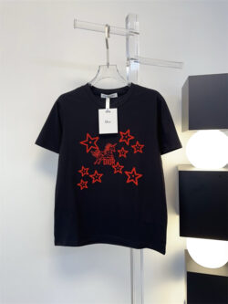 CHRISTIAN DIOR 크리스찬 디올 반팔T 60406075