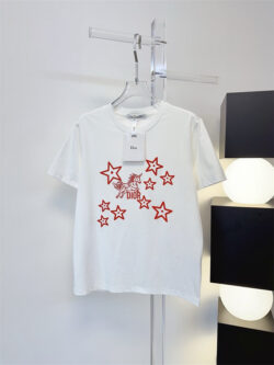 CHRISTIAN DIOR 크리스찬 디올 반팔T 60406076