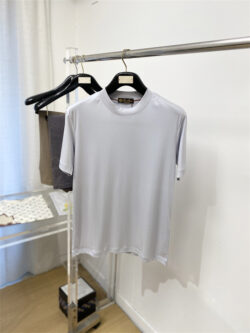 LORO PIANA 로로 피아나 반팔T 60525078